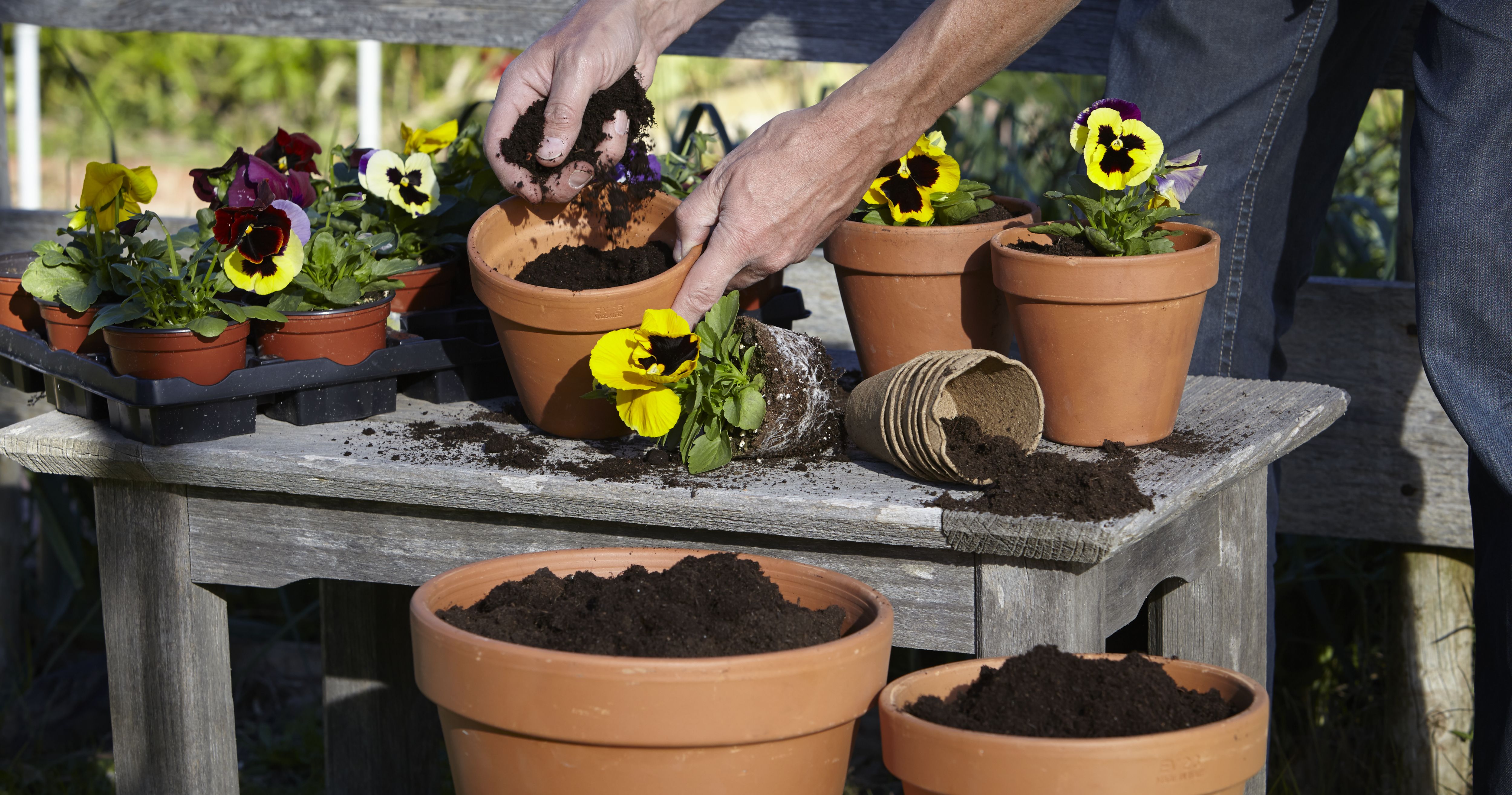 Compost buying guide Ideas & Advice DIY at B&Q
